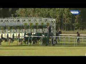 Video preview image for Musselburgh 18:50 - EBF Stallions Breeding Winners Fillies' Handicap