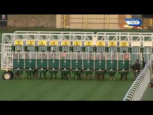 Video preview image for Musselburgh 19:50 - Jm Architects Handicap