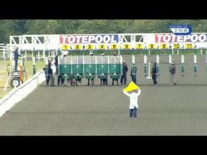 Video preview image for Kempton Park 14:10 - Toteplacepot Conditions Stakes (Plus 10)
