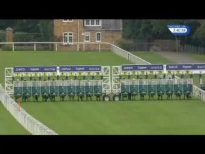 Video preview image for Ascot 14:40 - Albert Bartlett Handicap