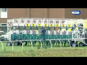 Video preview image for Thirsk 15:55 - Personal Touches Handicap