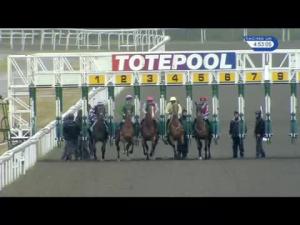 Video preview image for Kempton Park 16:50 - Toteexacta Handicap