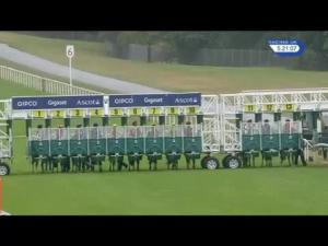 Video preview image for Ascot 17:20 - Redcentric Handicap