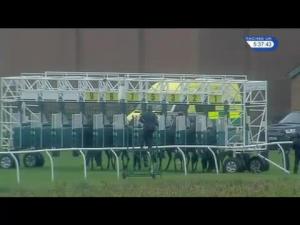 Video preview image for Thirsk 17:35 - EBF Stallions Jenny Roberts Original British Millinery Maiden Fillies' Stakes