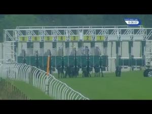 Video preview image for Thirsk 18:05 - Barkers Of Northallerton Handicap (Div 2)