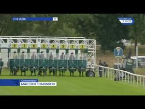 Video preview image for York 14:10 - Judith Marshall Memorial EBF Stallions Maiden Stakes (Plus 10)