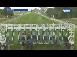 Video preview image for York 15:10 - Betfred Garrowby Stakes (Listed)