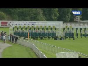Video preview image for York 15:40 - Coopers Marquees Irish Stallion Farms EBF Maiden Stakes (Plus 10)