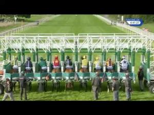 Video preview image for York 16:40 - Hanson Springs Stakes (Handicap)