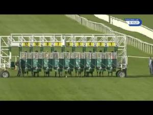 Video preview image for York 17:10 - Racecourse Challenge For Cystic Fibrosis Apprentice Stakes (Handicap)