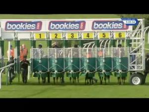 Video preview image for Carlisle 17:05 - Baines Wilson Llp Handicap