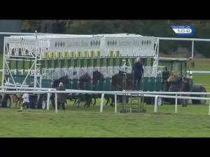 Video preview image for Sandown Park 17:15 - Telegraph Hill Handicap