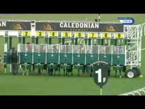 Video preview image for Musselburgh 19:00 - Three Hop Handicap