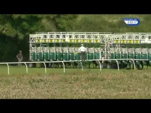 Video preview image for Thirsk 14:00 - Thirsk Racecourse Fantastic For Wedding Receptions Selling Stakes
