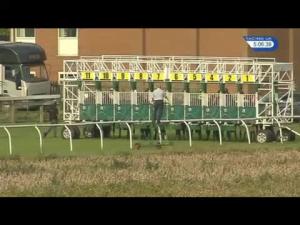 Video preview image for Thirsk 17:00 - Breeders Backing Racing EBF Maiden Stakes