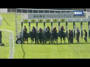Video preview image for Sandown Park 15:15 - Max Patel Wealth Manager Of Choice Conditions Stakes (Plus 10)