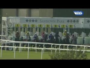 Video preview image for Sandown Park 15:50 - Racehorse Sanctuary Fortune Stakes (Listed)
