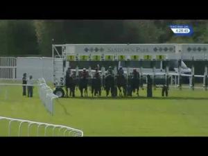 Video preview image for Sandown Park 16:25 - Salt Island Memorial Fillies' Handicap