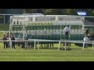 Video preview image for Sandown Park 17:00 - Molson Coors Handicap