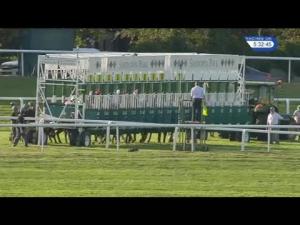 Video preview image for Sandown Park 17:30 - Silverpeak Systems Fillies' Handicap