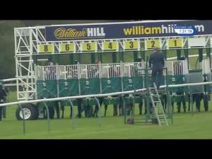 Video preview image for Ayr 13:30 - H&V Commissioning Services EBF Novice Stakes (Plus 10)