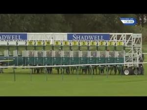 Video preview image for Ayr 13:30 - Al Maktoum College, Dundee/British Stallion Studs EBF Maiden Stakes (Plus 10) (Div 1)