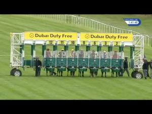 Video preview image for Newbury 13:40 - Thatcham Butchers EBF Stallions Maiden Stakes (Plus 10) (Div 1)