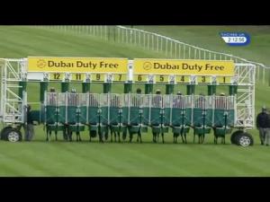 Video preview image for Newbury 14:10 - Thatcham Butchers EBF Stallions Maiden Stakes (Plus 10) (Div 2)