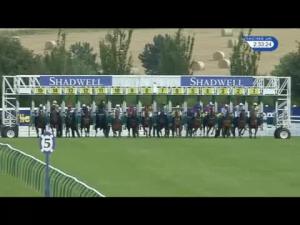 Video preview image for Ayr 14:30 - Shadwell Stud Nursery