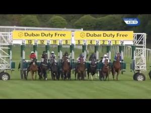 Video preview image for Newbury 16:25 - Dubai Duty Free Cup Stakes (Listed) (Str)