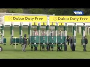 Video preview image for Newbury 17:00 - Dubai Duty Free Full Of Surprises EBF Stallions Fillies' Conditions Stakes (Plus 10) (Str)