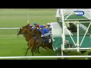 Video preview image for Newmarket 13:35 - British Stallion Studs EBF Maiden Fillies' Stakes (Plus 10)