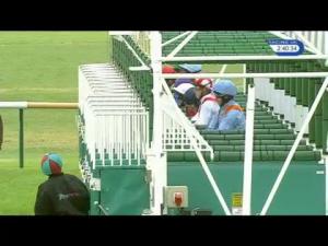 Video preview image for Newmarket 14:40 - newmarketracecourses.co.uk Handicap (Div 2)