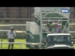 Video preview image for Catterick Bridge 15:00 - Racing UK HD On Sky 432 Nursery