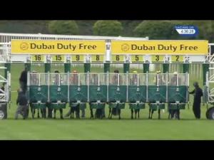 Video preview image for Newbury 16:35 - Heatherwold Stud Handicap (Str)