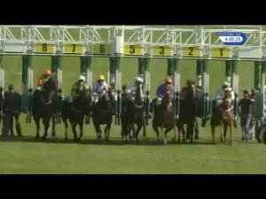 Video preview image for Catterick Bridge 16:45 - Bapp For Bolts Handicap (Catterick Twelve Furlong Series Final)