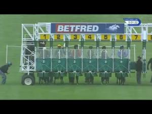 Video preview image for Newmarket 17:00 - EBF Stallions Breeding Winners Fillies' Handicap