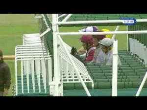 Video preview image for Newmarket 17:35 - Home Of Racing Handicap