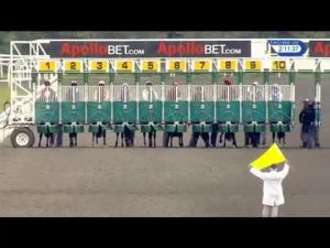 Video preview image for Kempton Park 14:10 - Apollobet New Website Maiden Stakes