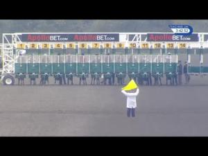 Video preview image for Kempton Park 15:40 - Apollobet/British Stallion Studs EBF Maiden Fillies' Stakes (Plus 10) (Div 2)