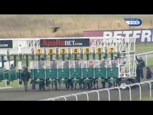 Video preview image for Kempton Park 16:10 - Apollobet Premier League Cashback Handicap