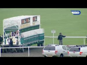 Video preview image for Kempton Park 17:10 - Apollobet Free Sign-Up Bonus Handicap