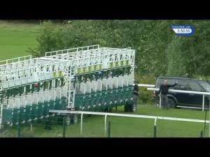 Video preview image for Hamilton Park 17:50 - Music Festival Racenight Featuring The View Handicap