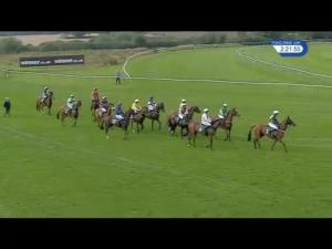 Video preview image for Warwick 14:20 - Arkle Finance Novices' Hurdle