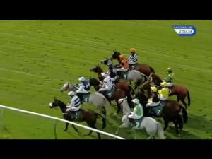 Video preview image for Warwick 14:50 - Rathbone Investment Management Handicap Chase