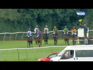 Video preview image for Warwick 17:00 - Rathbone Investment Management Mares' Handicap Hurdle