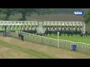 Video preview image for Beverley 17:15 - Steve Wall Equestrian Photography Handicap