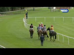 Video preview image for Perth 14:55 - Weatherbys Private Bank Novices' Handicap Chase