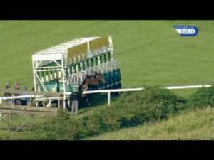 Video preview image for Goodwood 15:45 - Crimbourne Stud Foundation Stakes (Listed)
