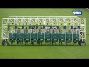 Video preview image for Redcar 16:30 - British Stallion Studs EBF Maiden Stakes (Div 2)